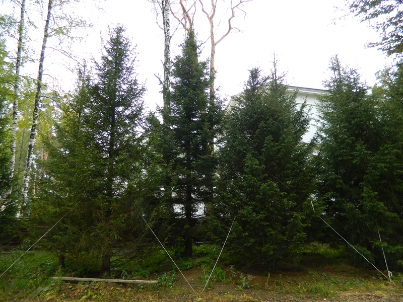 Никольская слобода - осень