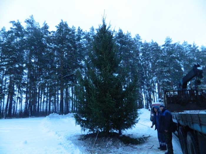 Коттеджный поселок Зеленый мыс