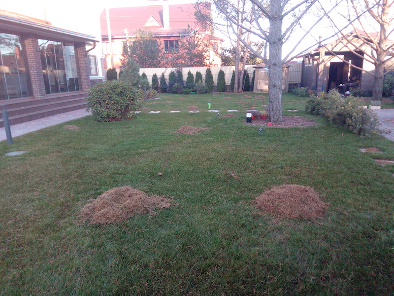 Обслуживание территории